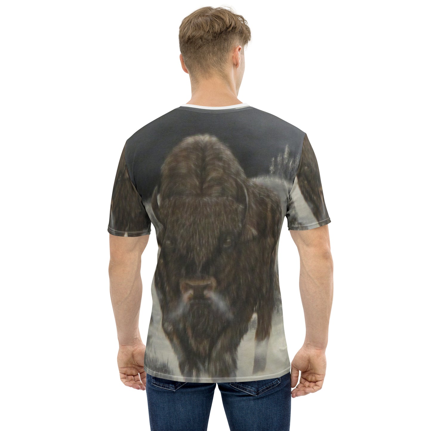 Men's t-shirt Bison