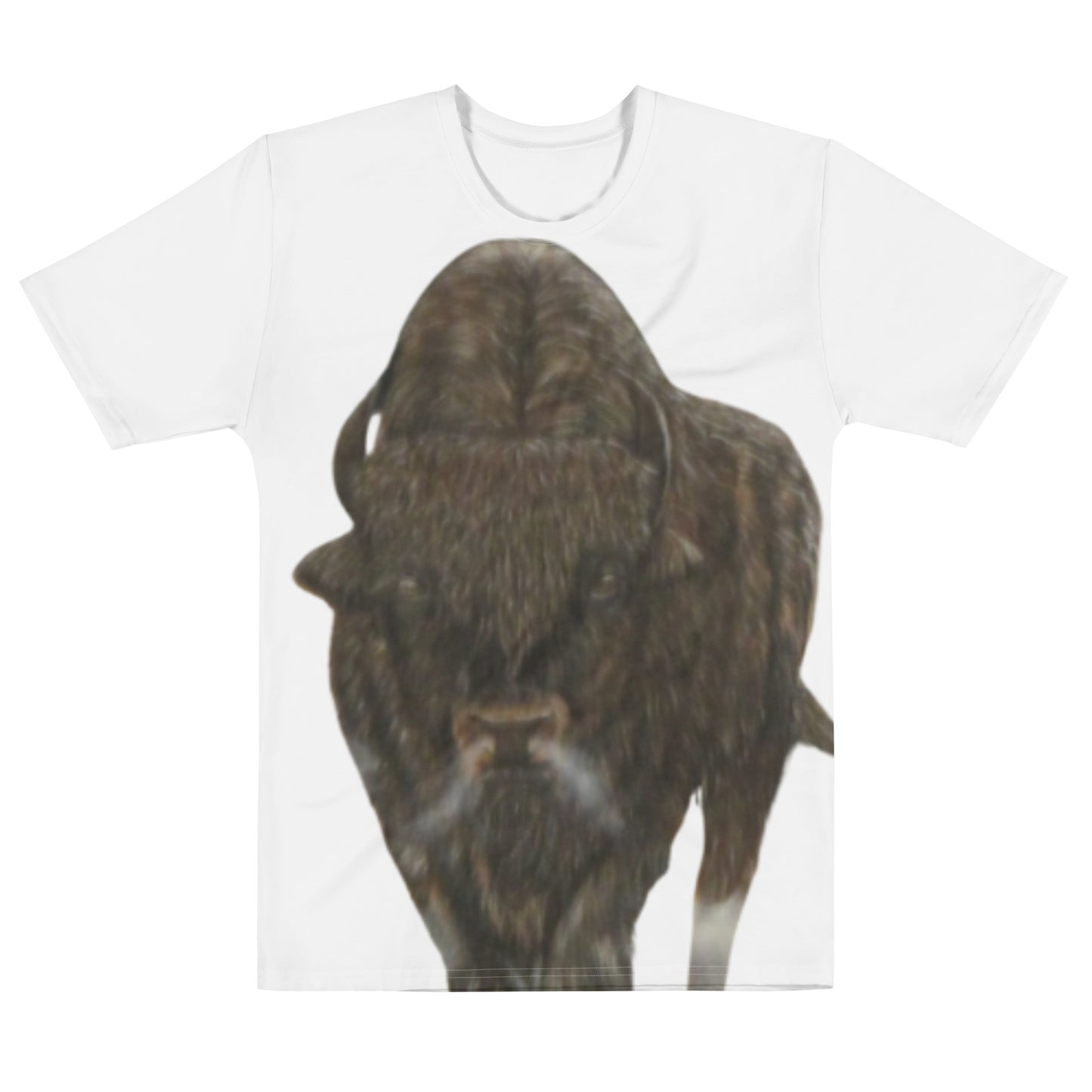 Men's t-shirt Bison