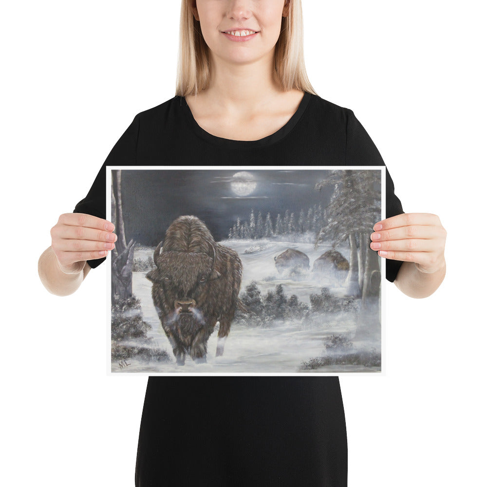 Poster Bison Coil Winter Night