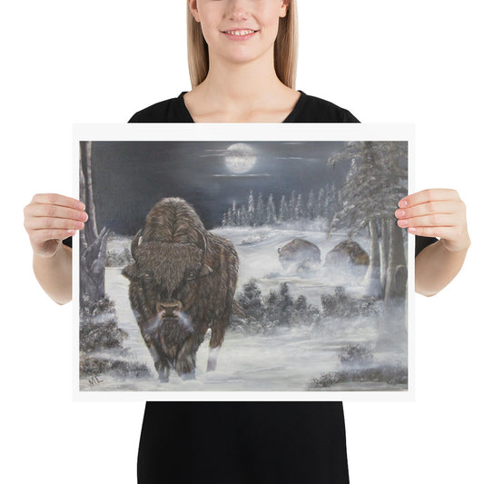 Poster Bison Coil Winter Night