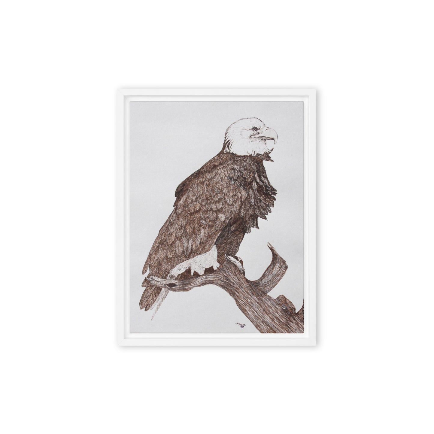 Framed canvas print Eagle