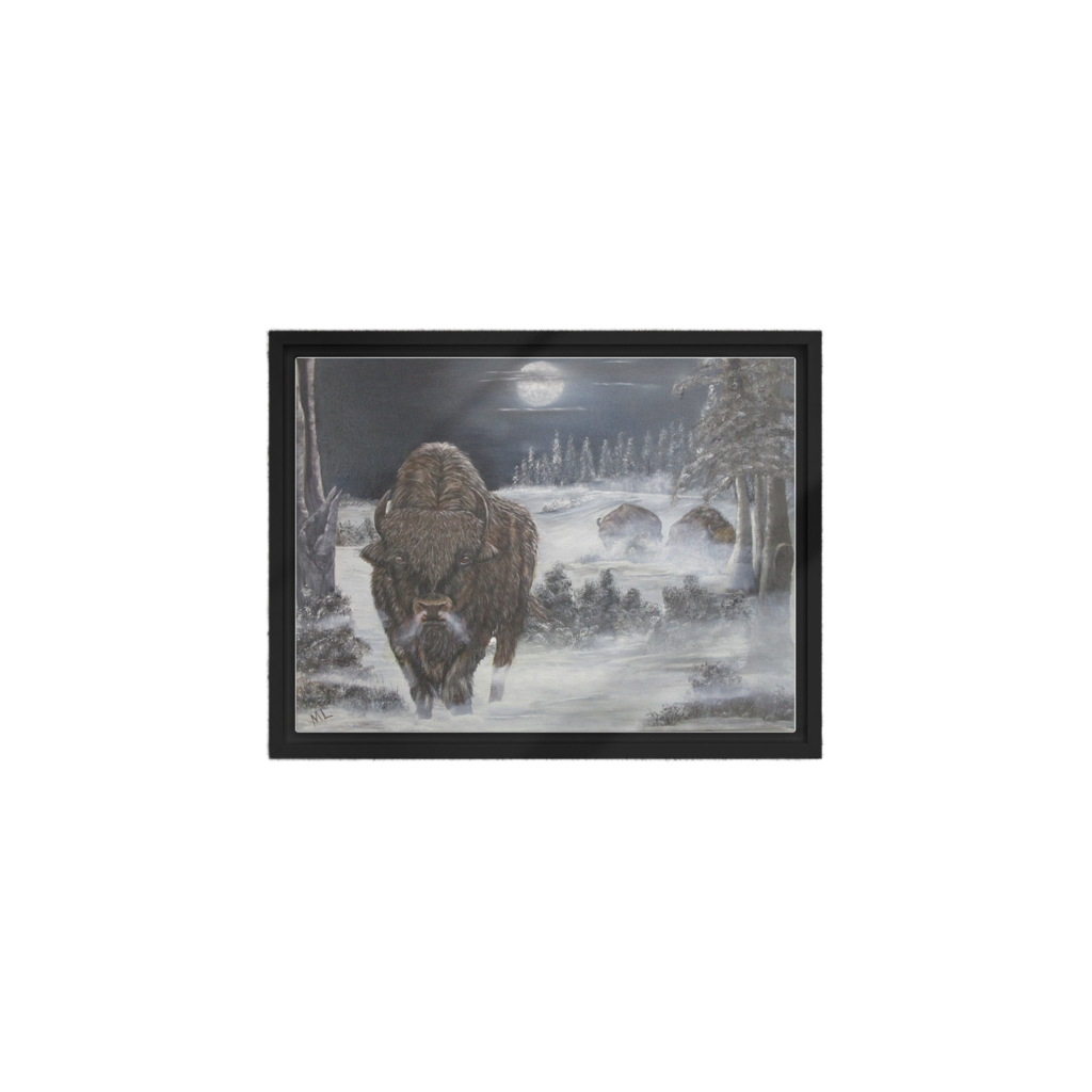 Framed canvas Bison Cold Winter Night